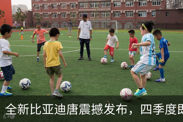 全新比亚迪唐震撼发布，四季度即将上市，全面升级